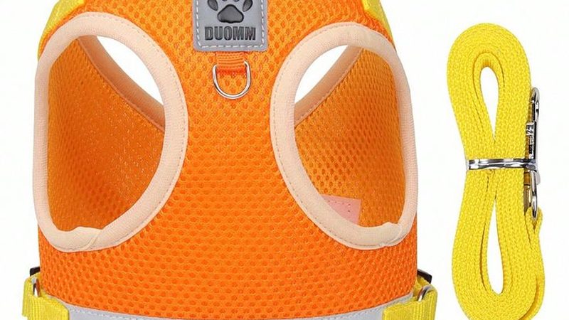 揭秘小型工业冷水机：十大品牌背后的技术秘密