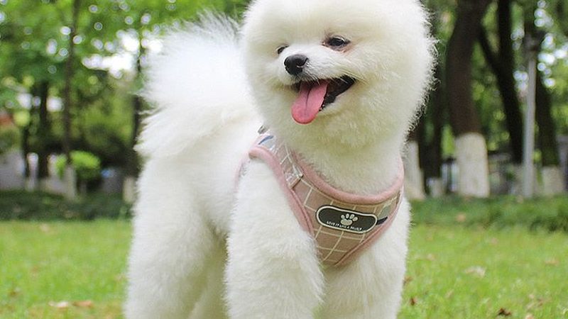 家用冷库与冰箱：揭秘两者本质区别